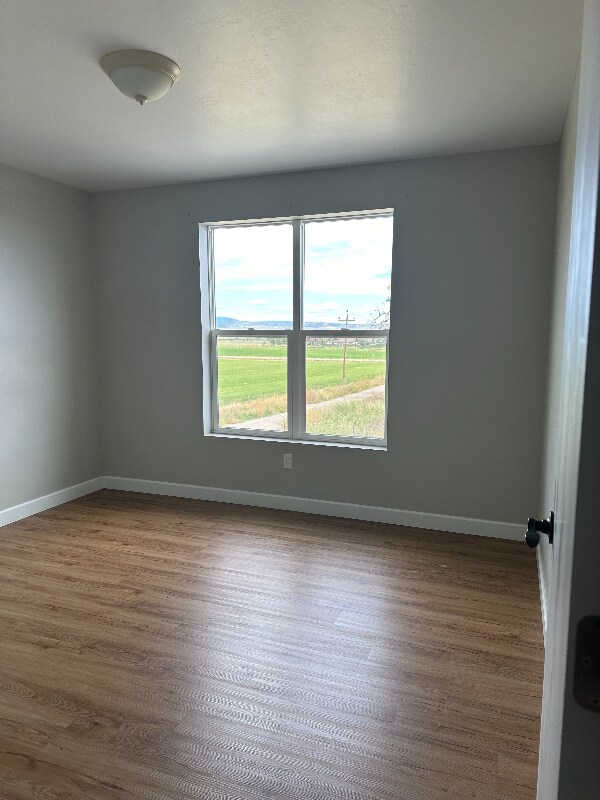 Building Photo - 559 Co Rd 229