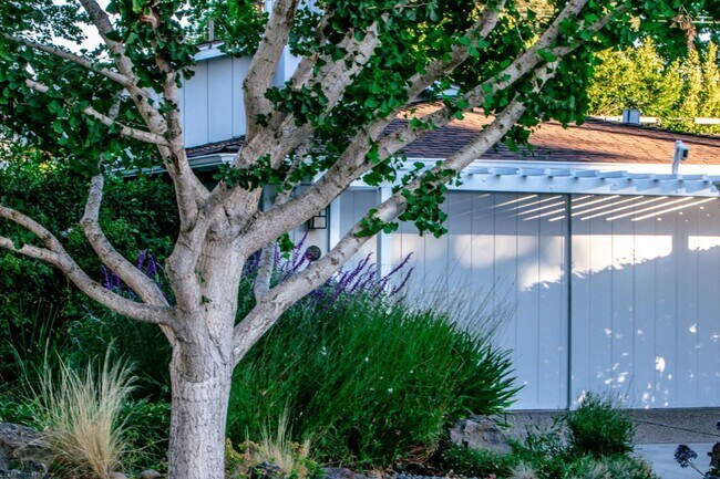 Building Photo - 267 Oakhurst Pl