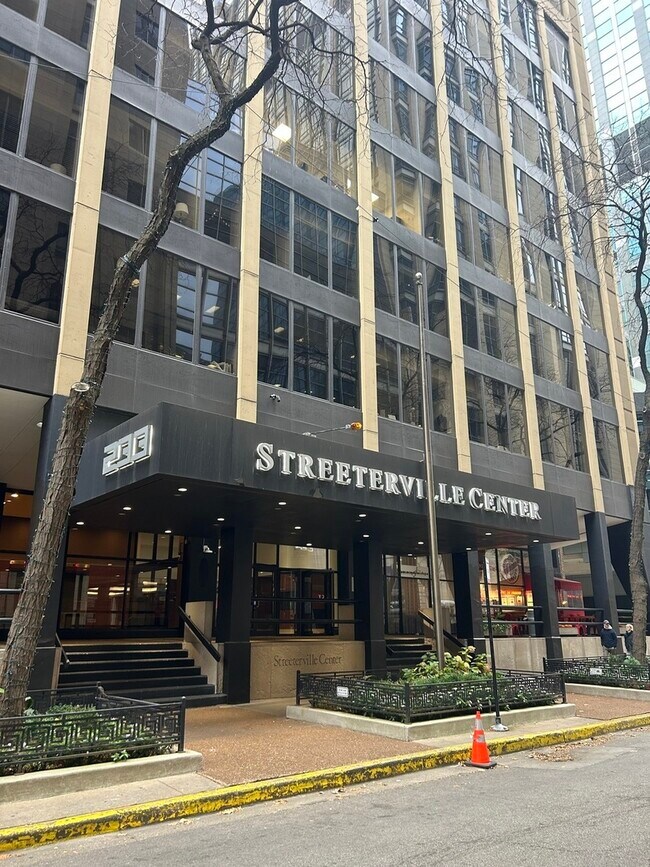 Foto del edificio - 233 E Erie St