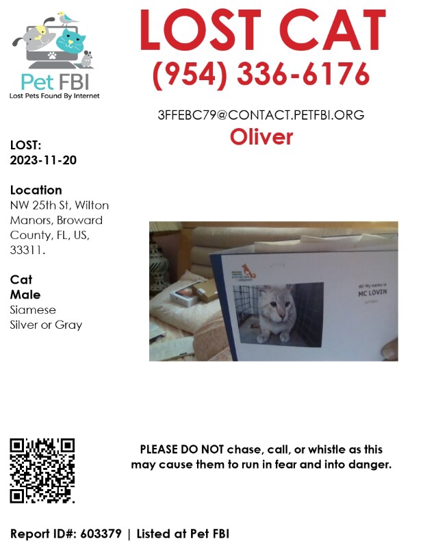 224 NW 25th St, Wilton Manors, FL 33311 House Rental in Wilton Manors