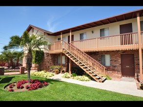 Palm Shadows Apartments photo'