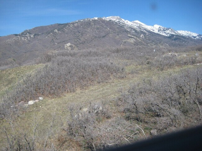 Building Photo - 14755 S Glamis Ct