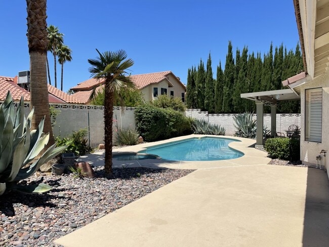 Backyard / Pool Area - 137 Weatherstone Dr