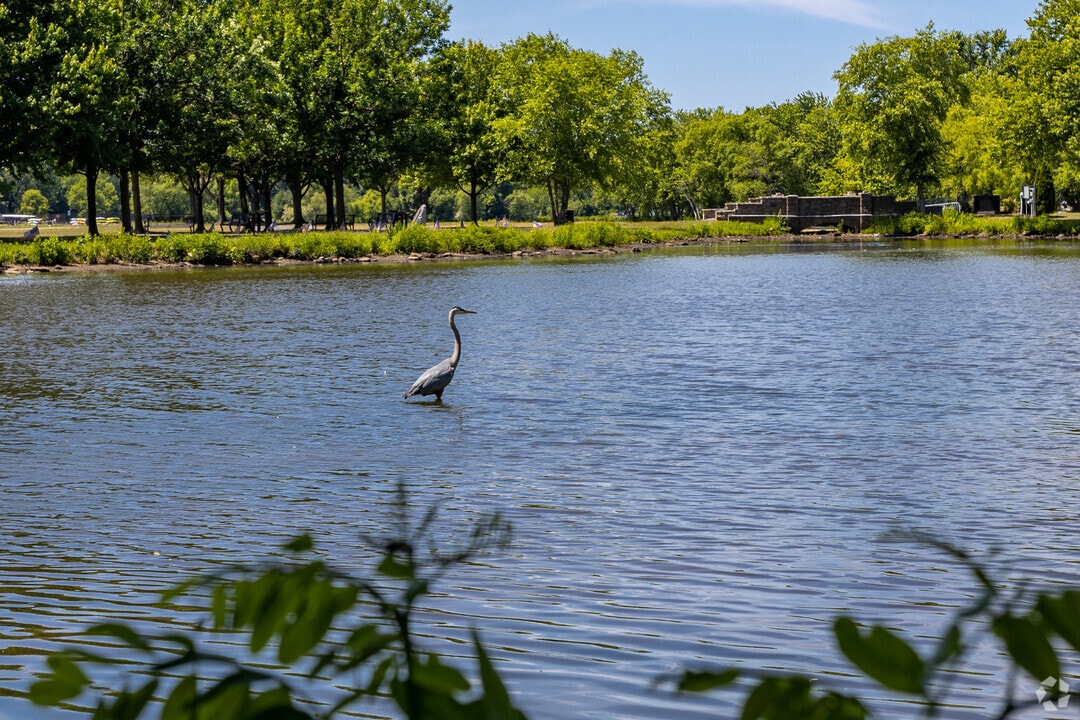 Maple Shade Township