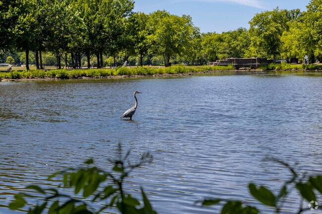 You'll find all kinds of wildlife as you walk through Cooper River Park.