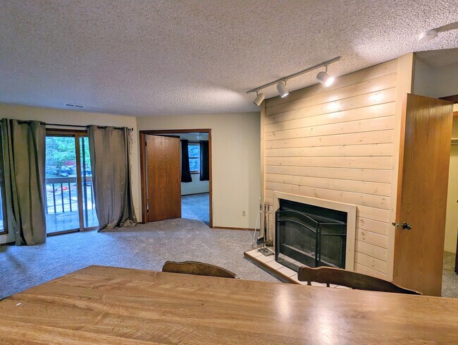 Living room and fireplace - 2960 Shadow Creek Dr
