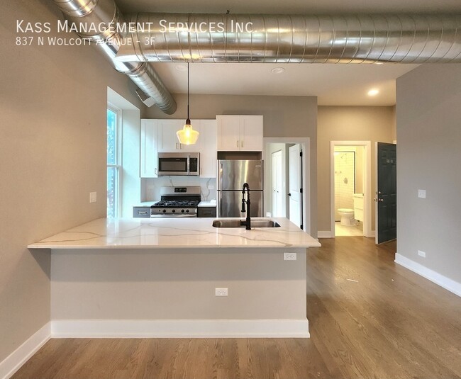 Foto del edificio - Amazing, Newly Rehabbed 2 BR in West Town