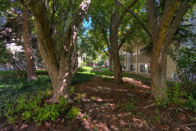 shady courtyards - 2707 Valmont Rd