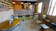 This single-floor dining space combines whimsical décor with functional layout to create a memorable and inviting environment. The room's most striking feature is a large-scale photographic mural of two pigs displayed prominently on the main wall, rendered in warm, earthy tones that complement the bold orange painted walls surrounding it. Beneath the mural runs a continuous built-in banquette upholstered in a decorative floral-patterned fabric, providing comfortable bench seating along the wall.

The seating arrangement is eclectic yet cohesive, mixing gray painted spindle-back chairs with modern rose gold-framed accent chairs and round wooden tables with painted bases. This mix of styles adds visual interest while maintaining a casual, approachable feel throughout the space. Pendant lights with warm-toned shades hang from the ceiling, casting an intimate glow across the dining area.

Natural light enters through a window along the side wall, brightening the space and balancing the warm interior lighting. The flooring features a neutral patterned carpet, while a green rug beneath the banquette seating adds a layer of texture and color contrast. Overall, the space delivers a distinctive, personality-filled dining experience.