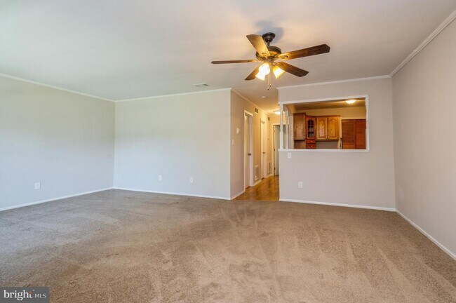 Foto del edificio - 151 Wyndham Pl