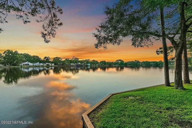 Backyard - 11290 Lake Mandarin Cir E