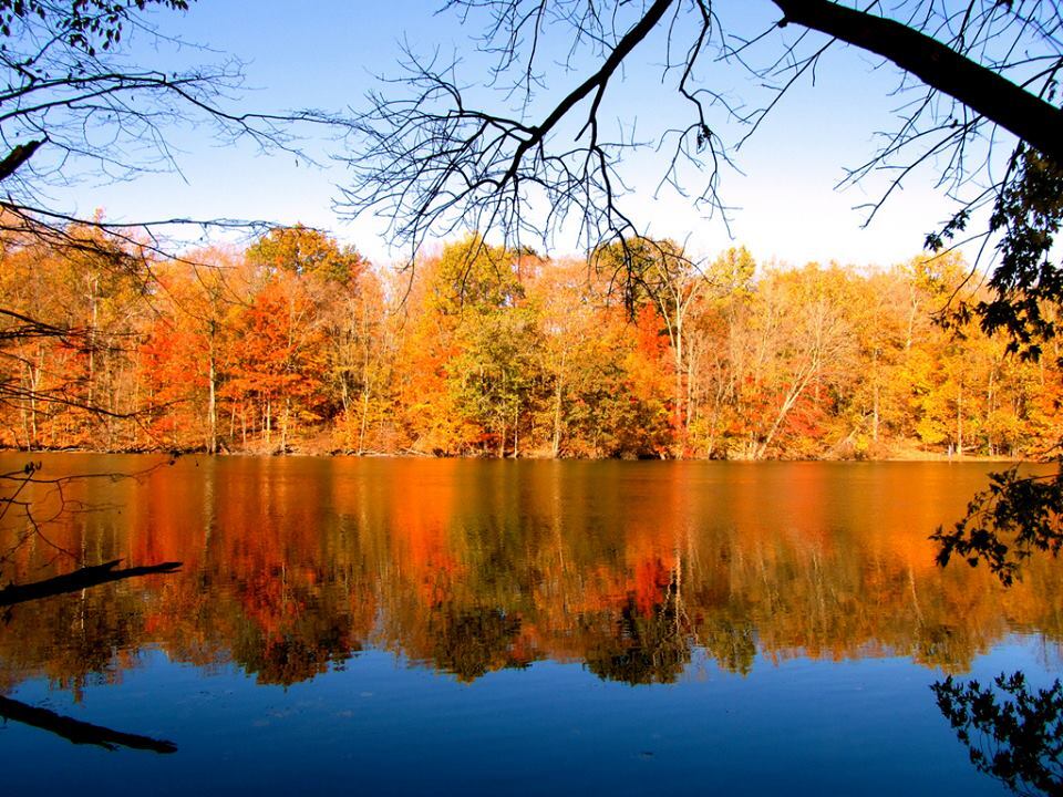 Primary Photo - Woodlands