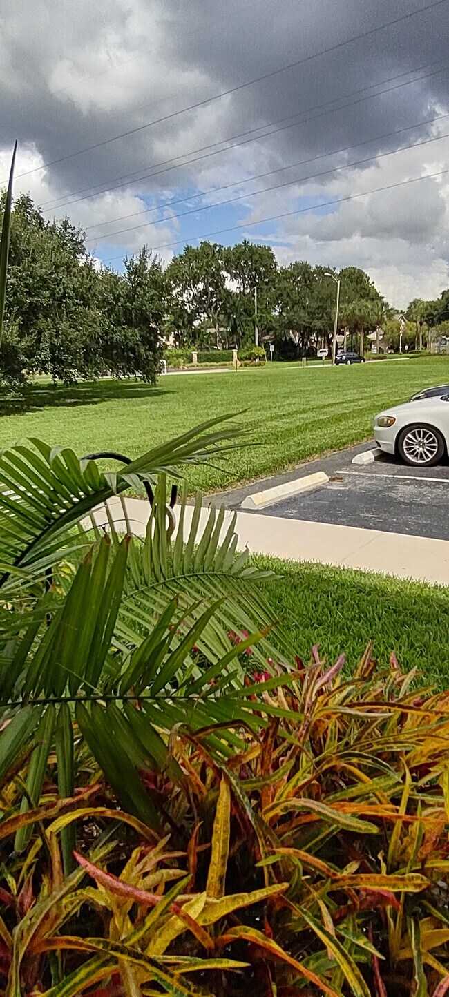 2400 Winding Creek Blvd Unit 102, Clearwater, FL 33761 Condo for