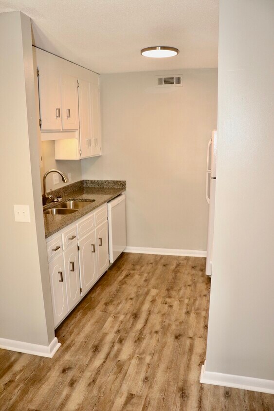 Kitchen - 300 Apache Dr