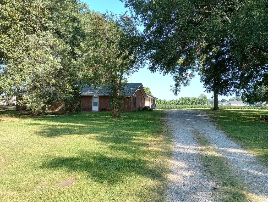 Primary Photo - 3/3 close to town on large lot