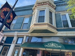 Building Photo - 539 N Milwaukee Ave