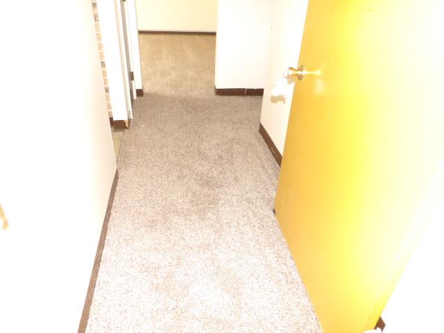 Foto del edificio - 1040 Patricia Dr