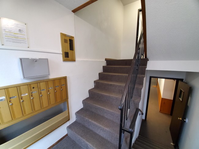 Building Photo - 3223 Scenic Dr