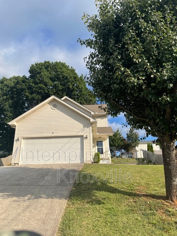 Building Photo - 3119 Pinex Ln