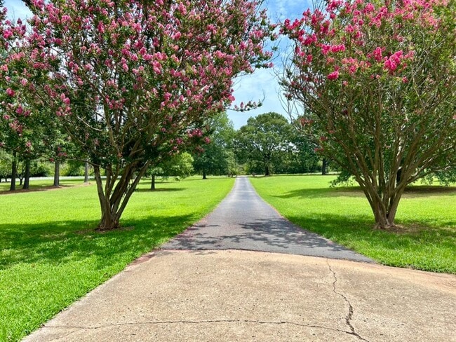 Building Photo - HOUSE ON 6 ACRES! 4 Bed 3.5 Bath House - R...