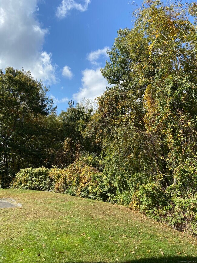 Building Photo - 210 Stonefield Dr