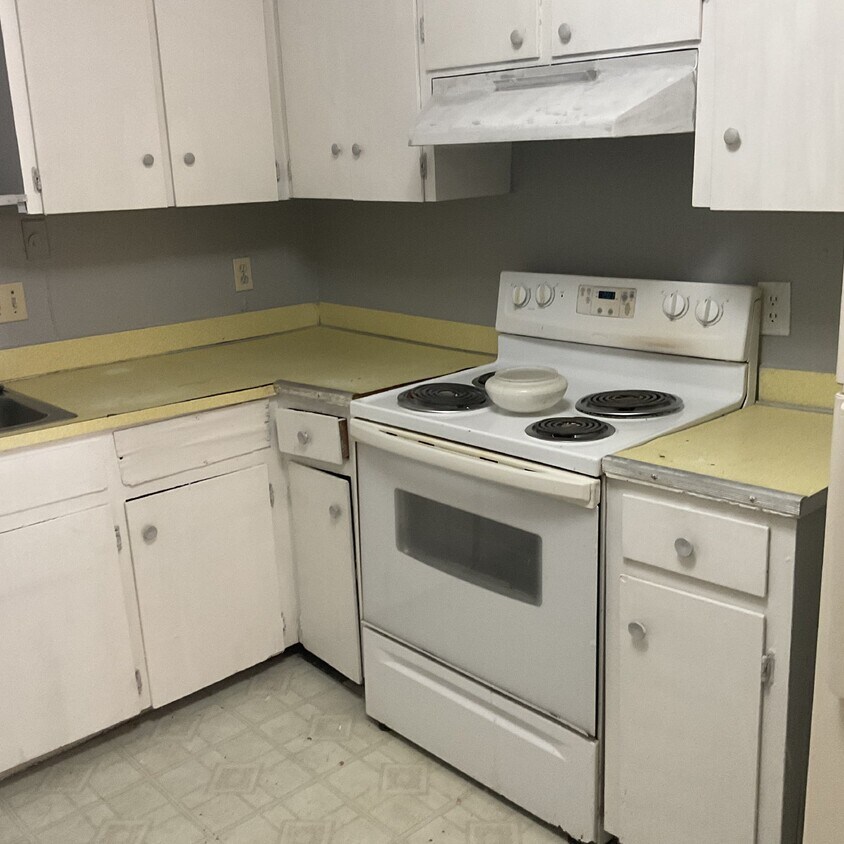 Primary Photo - 1/1 apartment for rent