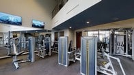 Located at 201 S Elliot Rd in Chapel Hill, NC, this two-story fitness center is a well-appointed facility designed to support a comprehensive workout experience. The space immediately impresses with its soaring double-height ceilings, which lend an open and airy atmosphere throughout the main floor. A mezzanine-level overlook with a metal railing is visible above, offering additional workout or viewing space on the second floor.

The ground level is outfitted with a full suite of Matrix-brand strength training machines — a professional, commercial-grade line recognized for its durability and performance. The machines are arranged in an organized, accessible layout, allowing users to move efficiently between equipment. A dedicated free weights area with a dumbbell rack is also visible, catering to a range of strength training preferences.

Full-length mirrors line the walls, enhancing the sense of space while allowing users to monitor their form during exercise. Recessed lighting throughout the ceiling provides consistent, even illumination, complemented by natural light filtering in through windows along the exterior wall. Wall-mounted flat-screen televisions add an entertainment element to the workout environment. The dark, durable flooring ties the aesthetic together, creating a sleek, modern fitness space suited for serious training.