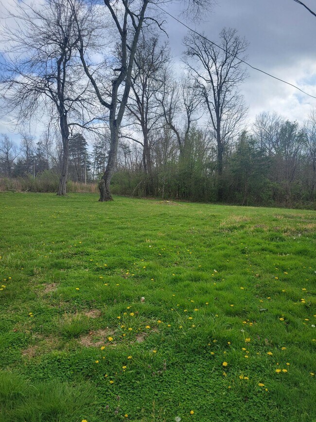 Foto del edificio - 104 Bent Tree Dr