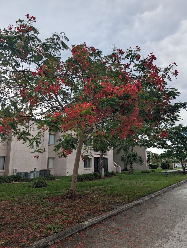 Building Photo - Completely new remodeled 2 bedroom 2 baths...