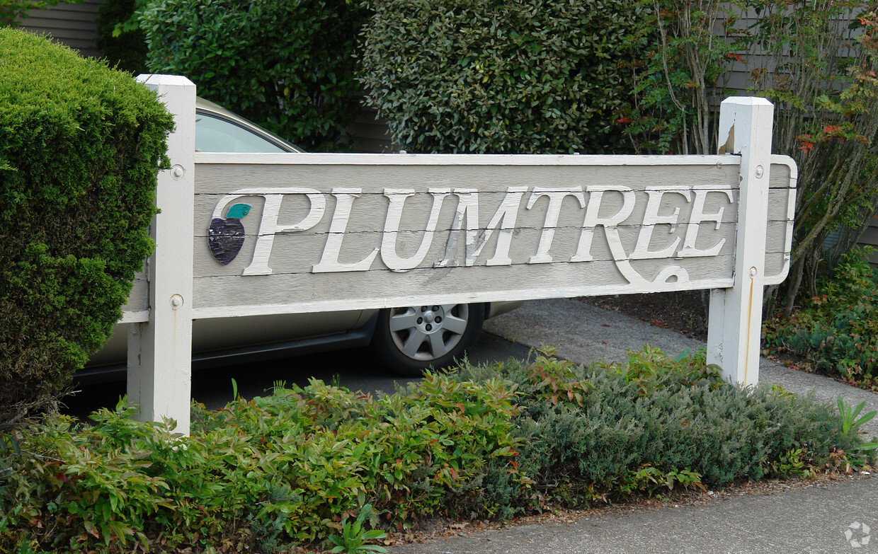 Building Photo - Plumtree Apartments