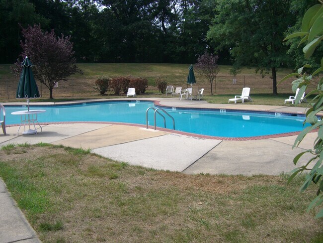 Piscina de la asociación - 211 Meadow Woods Ln