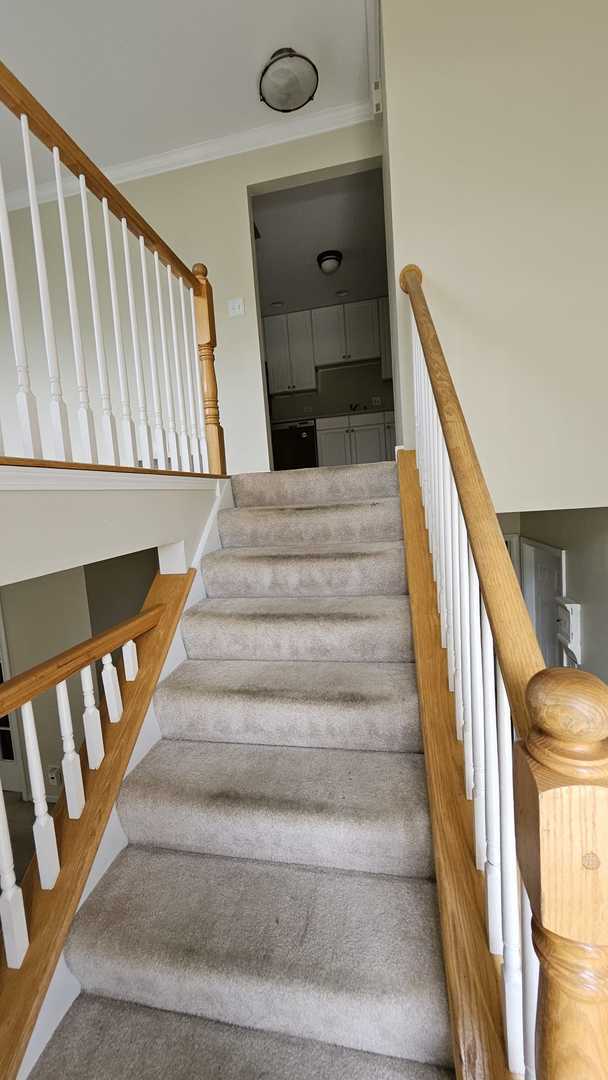Foto del edificio - 955 Elderberry Cir