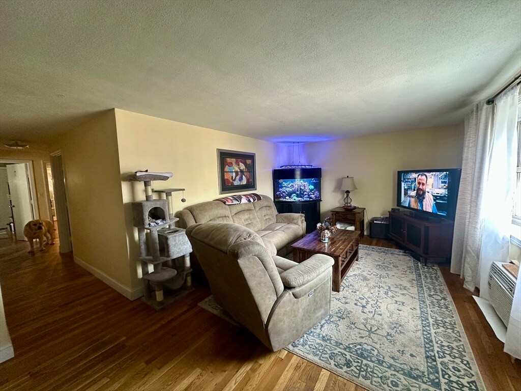 Primary Photo - 34 Olcott St