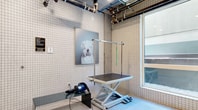 This purpose-built pet grooming station offers a compact yet highly functional space designed to meet all pet care needs. The room is finished throughout with clean white grid-pattern ceramic tiles, covering the walls from floor to ceiling and creating a hygienic, easy-to-maintain environment. The polished concrete flooring features strategically placed floor drains, ensuring efficient water management during washing sessions.

A dedicated wet bathing area is tucked into one corner, equipped with a wall-mounted commercial-grade faucet and flexible spray hose, providing full control during pet baths. An adjustable hydraulic grooming table with a safety arm and leash attachment sits at the center of the space, accommodating pets of varying sizes with ease. A professional-grade pet dryer is also on hand for post-bath finishing.

Additional amenities include a stainless steel utility sink, step stairs to assist pets onto the grooming surfaces, and tall built-in wooden cabinetry offering ample storage for grooming supplies and accessories. A window allows natural light to filter into the space. Exposed overhead mechanical systems and ductwork lend the room an industrial aesthetic, while posted instructional signage ensures proper and safe use of all facilities.