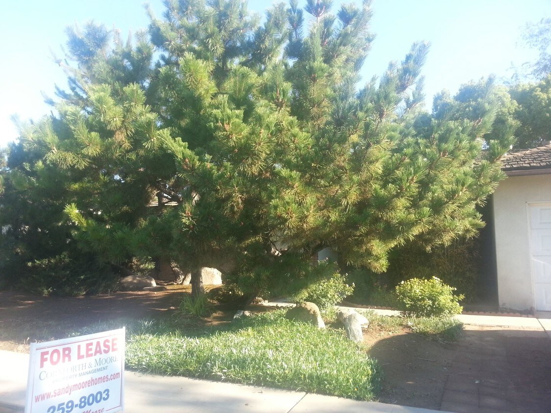 Primary Photo - 738 E Tenaya Way