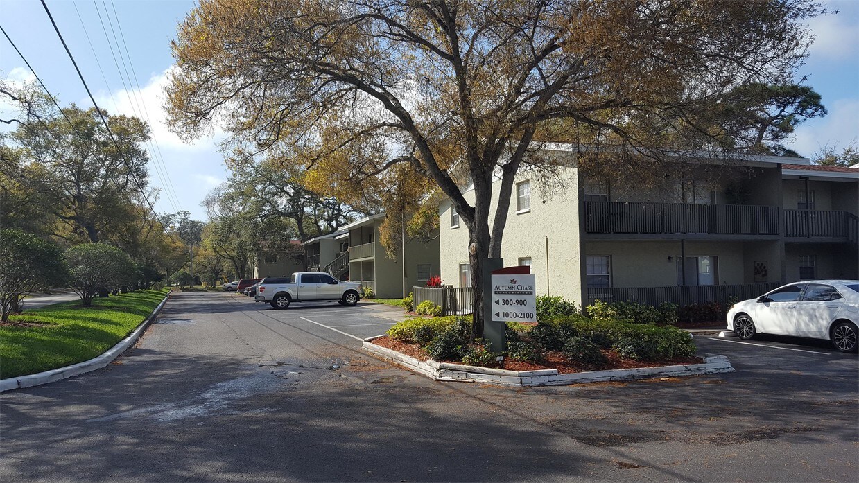 2200 Gladys St Unit 908 Largo Fl 33774 Apartment For Rent In Largo Fl Apartments Com