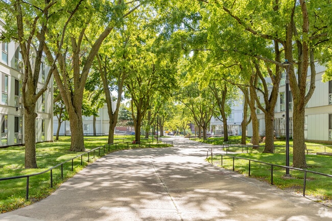 Walkway - Lake Grove Village
