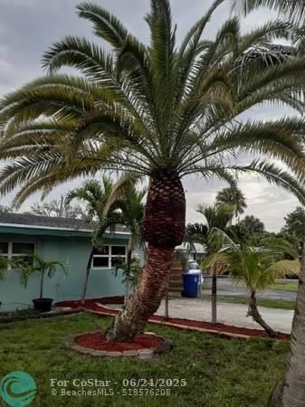 Foto principal - 1561 SW 30th St