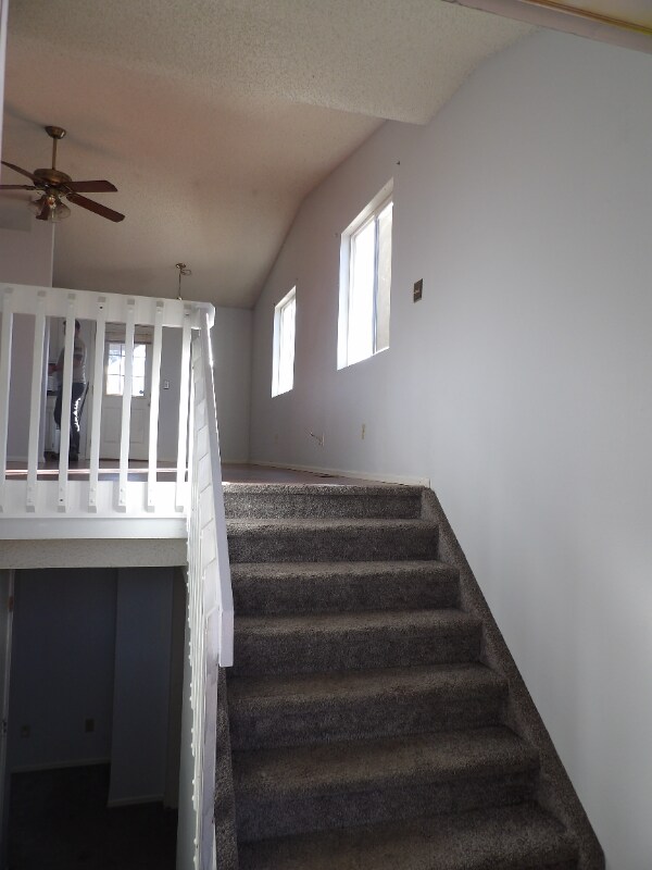 Foto del edificio - 4702 Witches Hollow Ln