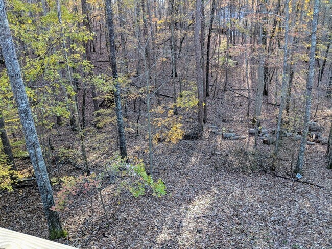 view from back porch - 386 Eagle Mountain Dr West