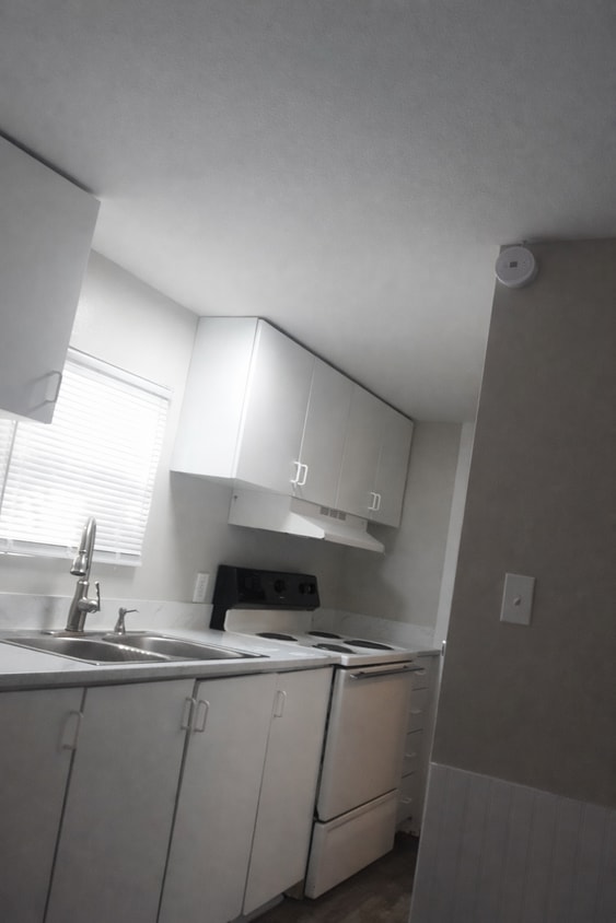 Photo - 15101 N 15th St (Lutz, FL)