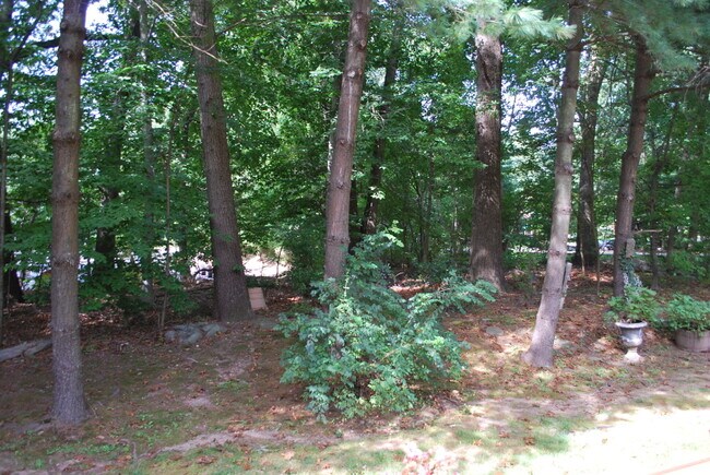 Building Photo - 14 Littlewood Ct