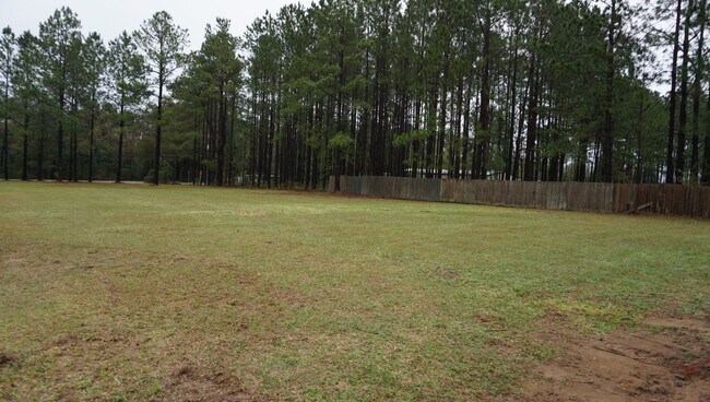 Foto del edificio - 3 bedroom in Echols County