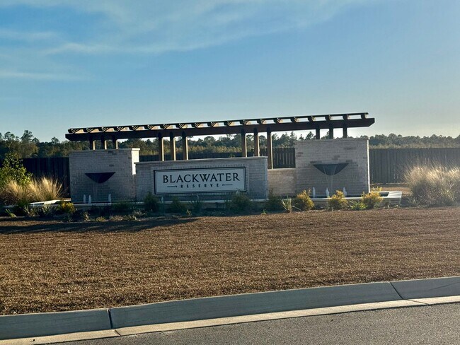 Building Photo - Brand new 5BR/3BA with Amenities Galore