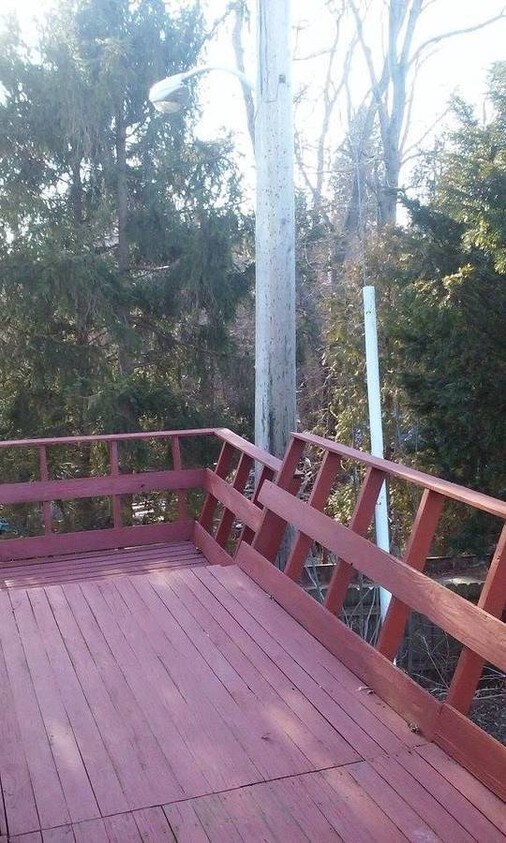 Foto principal - 2511 Alpine Trail