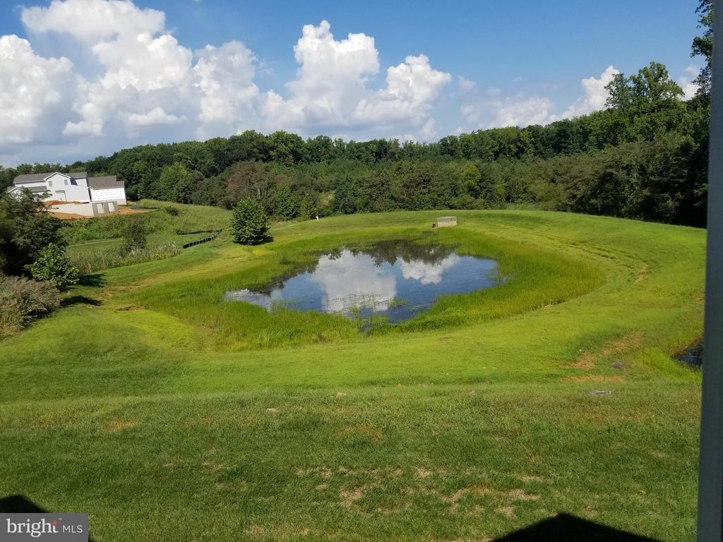 Foto principal - 222 Whirlaway Ln