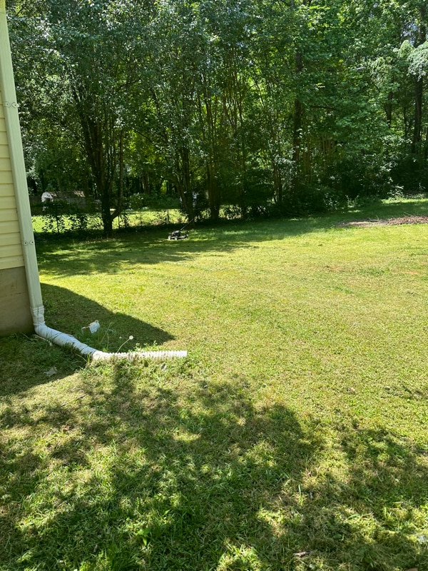 Foto principal - 124 Ashland Dr