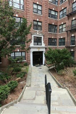 Primary Photo - 50 Follen St