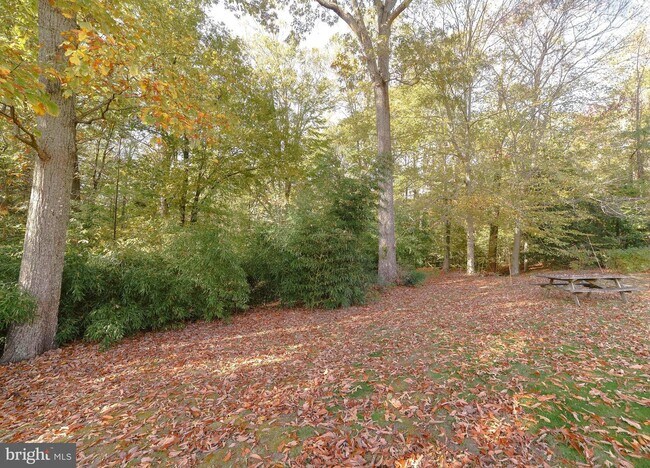 Foto del edificio - 23403 Town Creek Dr