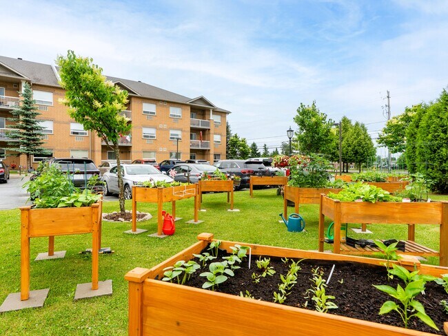 Photo du bâtiment - Notre Dame Apartments